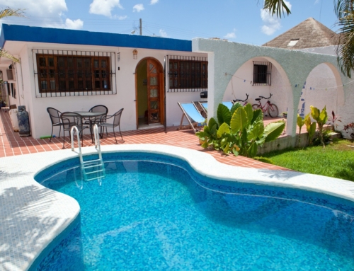 Cozumel Like a Local