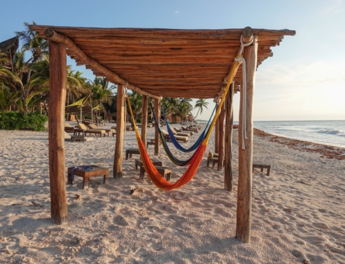 Tulum and the Beach Dogs