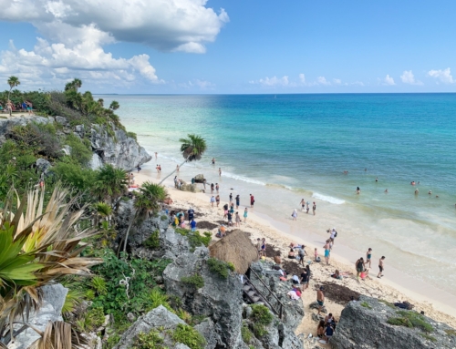 Tulum’s Tarantulas